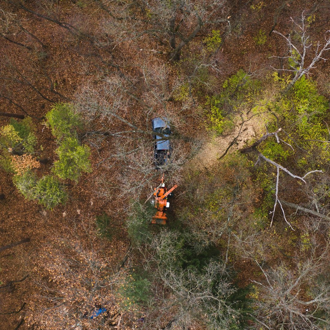 Aerial view of a tree work site with a chipper among the trees