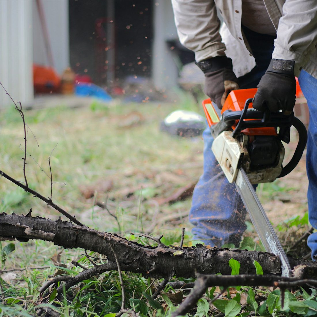 Chainsaw cutting through a cut branch on the ground